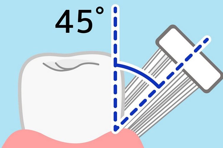 歯磨きの方法について、間違ってませんか?? | 大阪市の歯医者「みやうちデンタルクリニック」